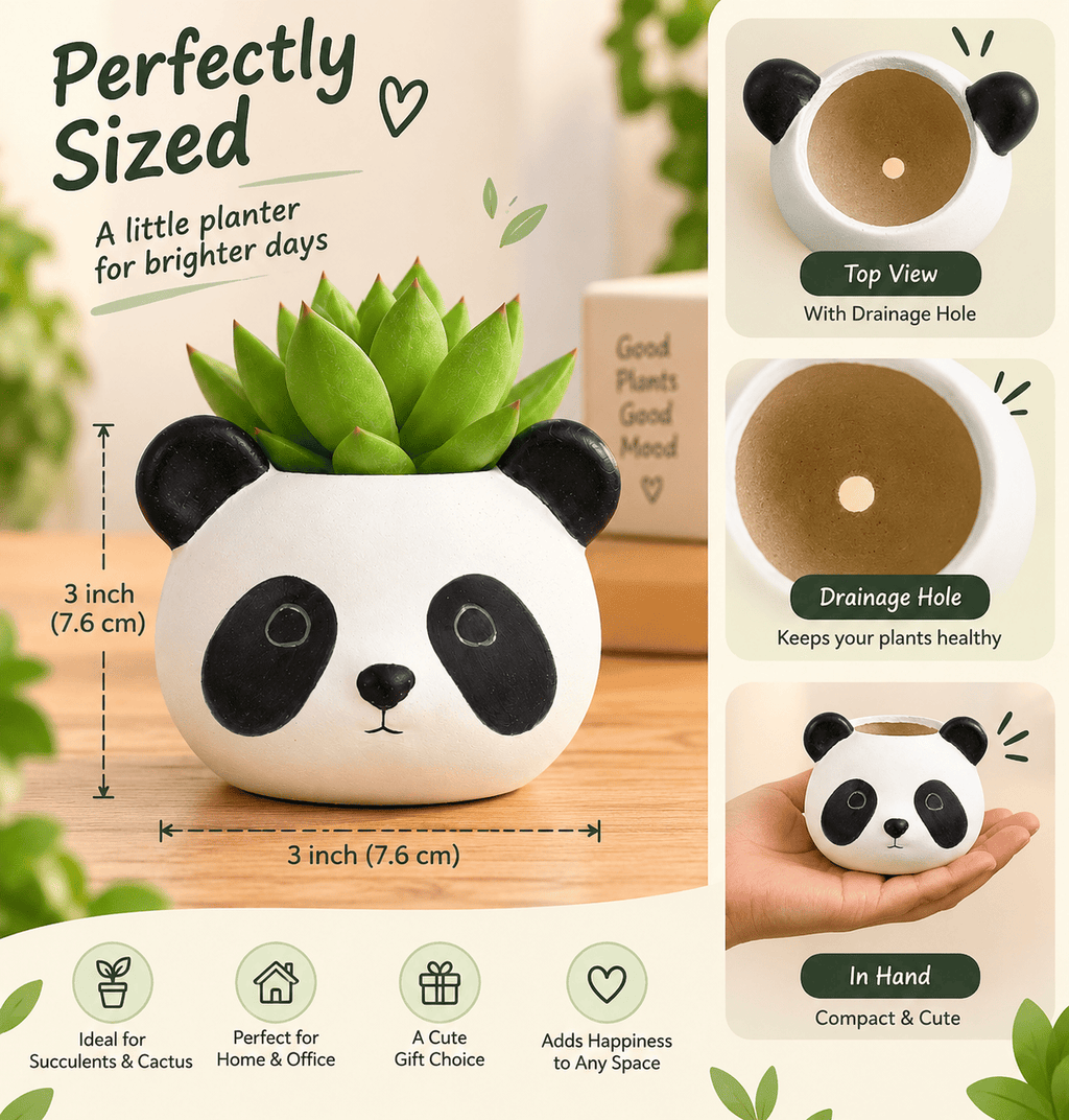 PotPop Panda Planter – Cute Panda Pot for Succulents & Cactus | Indoor Desk Decor