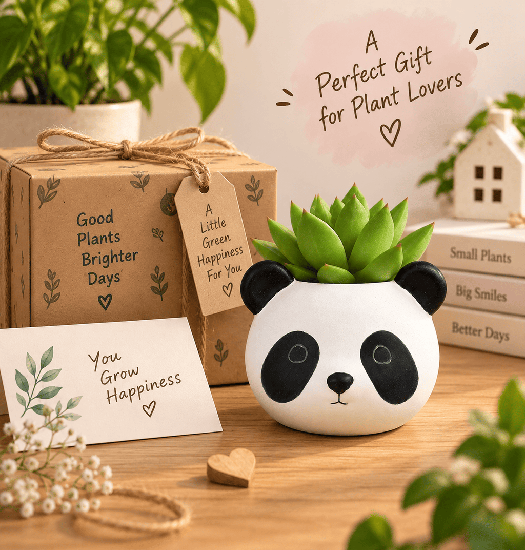 PotPop Panda Planter – Cute Panda Pot for Succulents & Cactus | Indoor Desk Decor