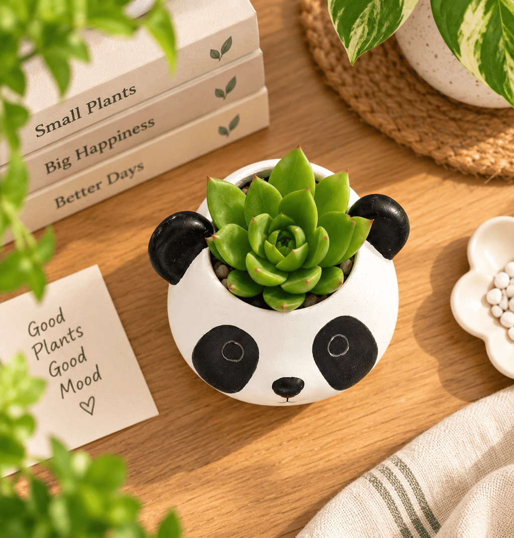PotPop Panda Planter – Cute Panda Pot for Succulents & Cactus | Indoor Desk Decor