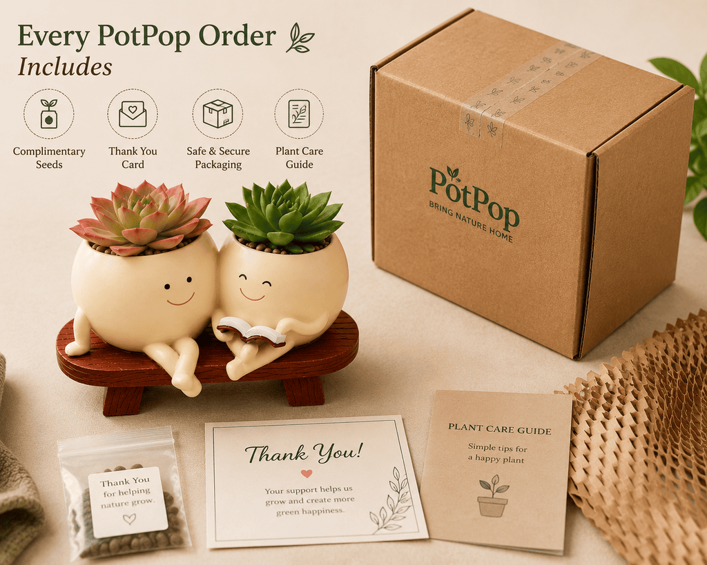 PotPop Story Time Duo Planter – Cute Double Resin Planter for Indoor Plants | Unique Gift for Plant Lovers