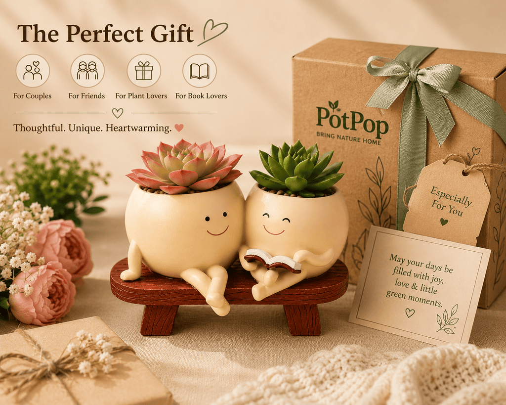 PotPop Story Time Duo Planter – Cute Double Resin Planter for Indoor Plants | Unique Gift for Plant Lovers