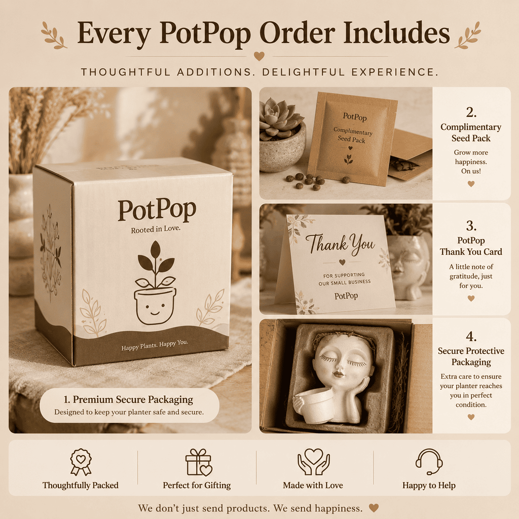 Dream Muse Face Resin Planter Pot for Indoor Plants | Artistic Home Decor by PotPop