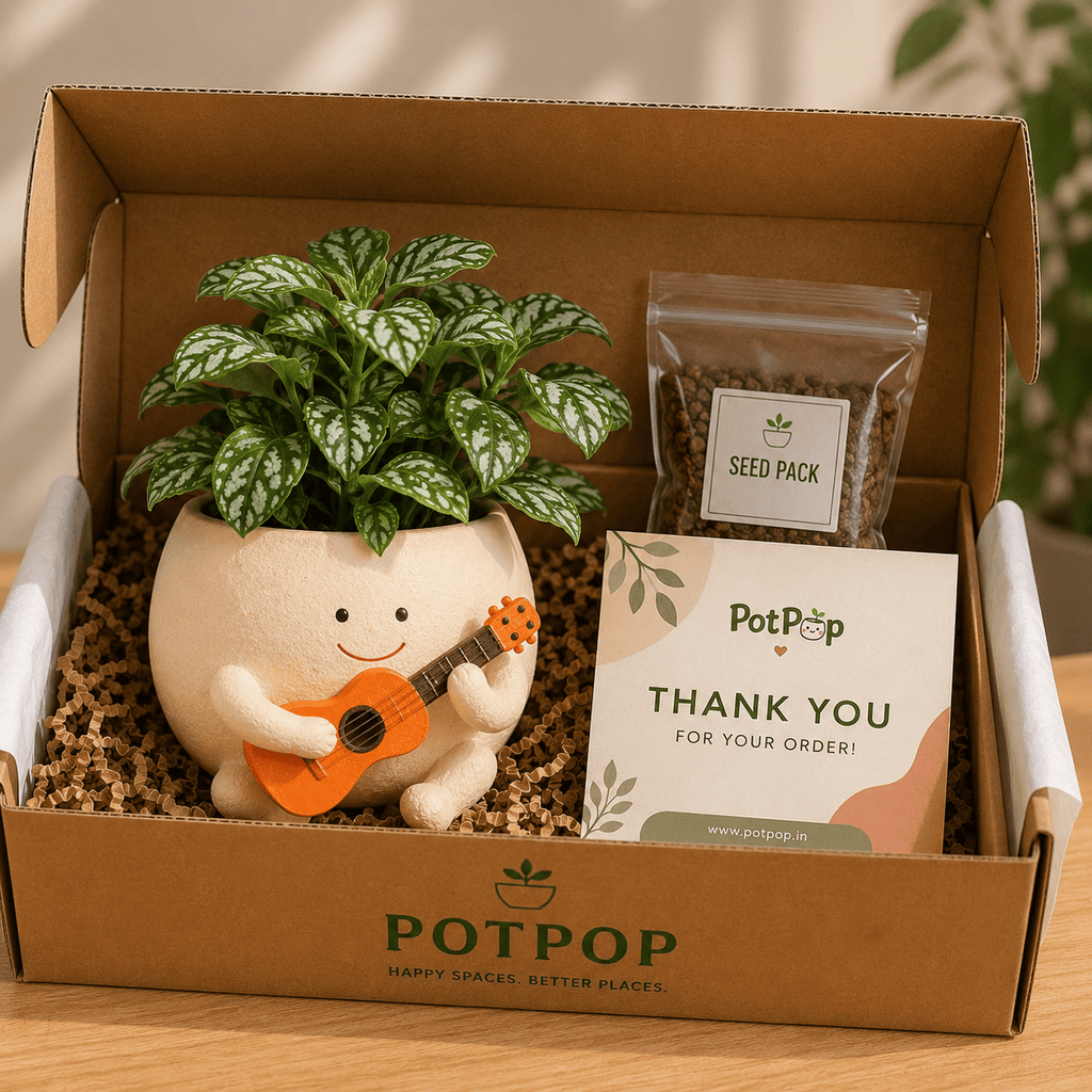 Cute Musician Planter Pot with Guitar for Indoor Plants | Melody Buddy Planter by PotPop